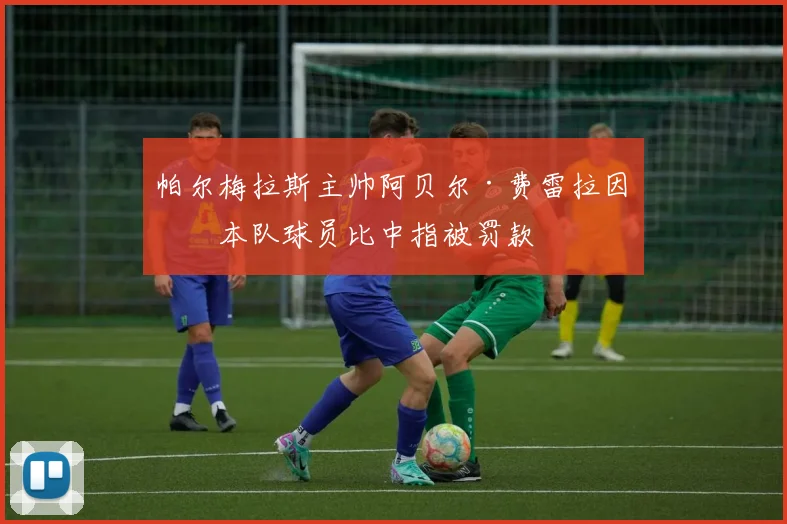 帕尔梅拉斯主帅阿贝尔·费雷拉因向本队球员比中指被罚款