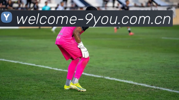 九游体育平台生态图